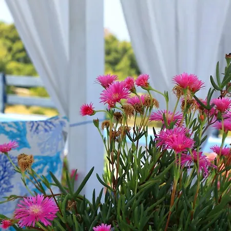 Casa Baia Azzurra Holiday home
